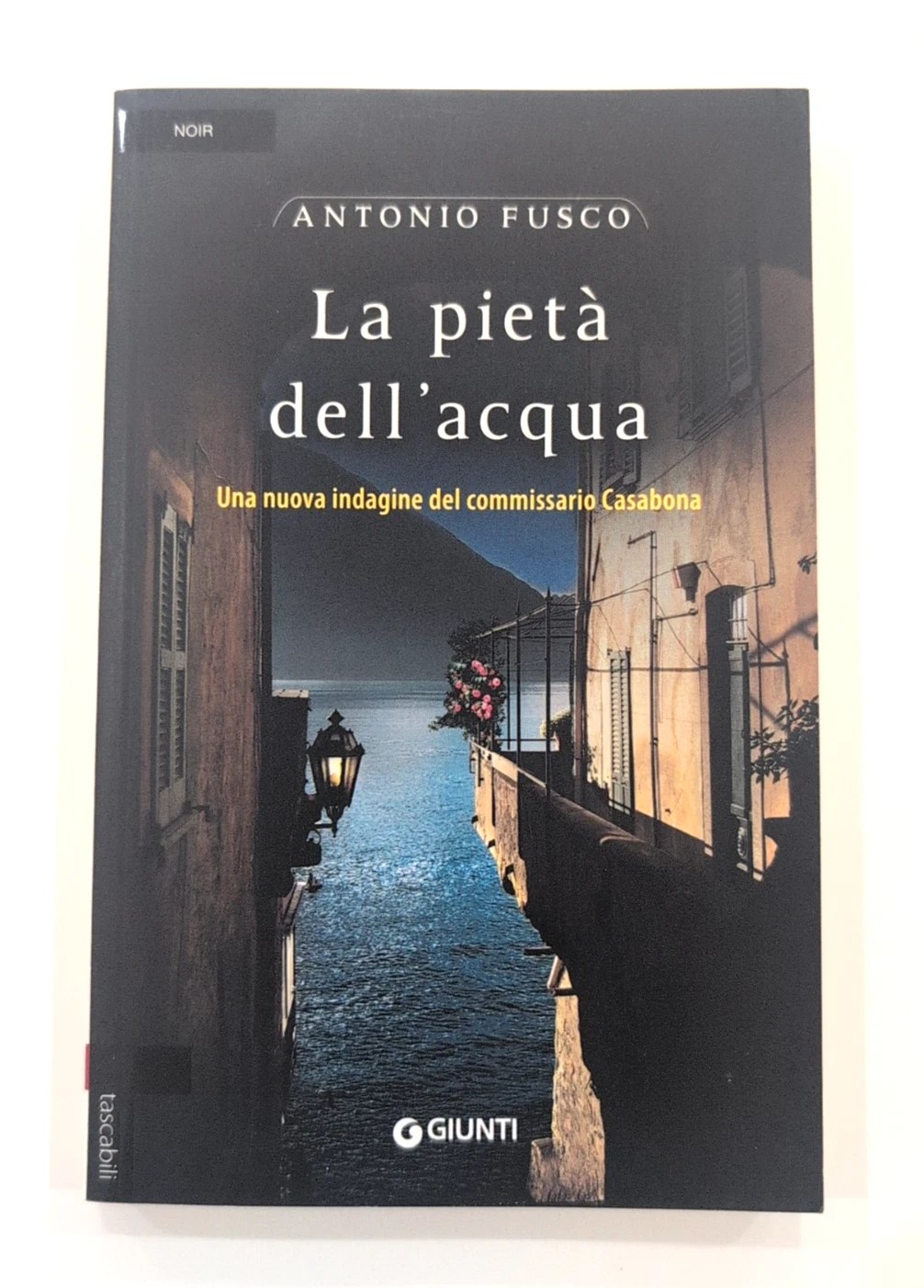 I Segreti del Lago di Massaciuccoli: Un Noir&nbsp;Toscano